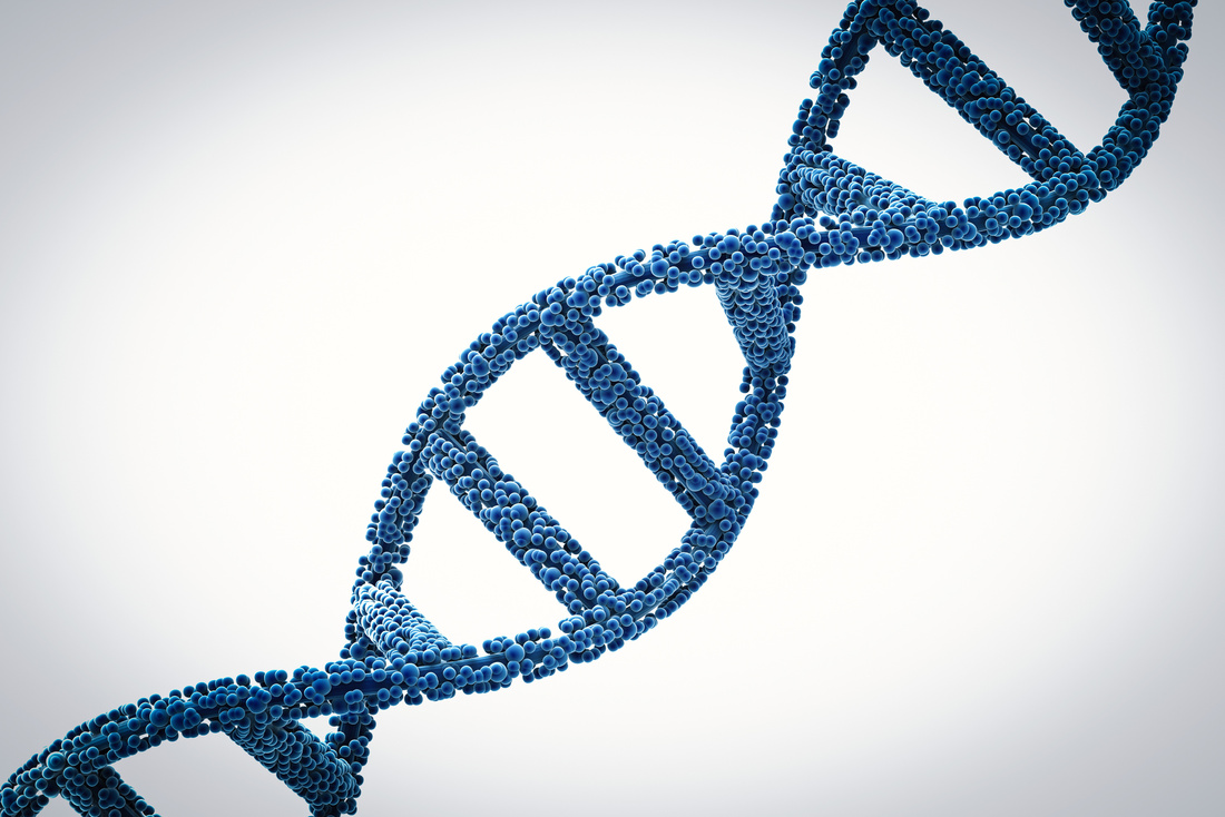 dna helix or dna structure